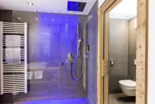 Badezimmer mit Dusche und abgetrenntem WC - Zimmer Alpe 109