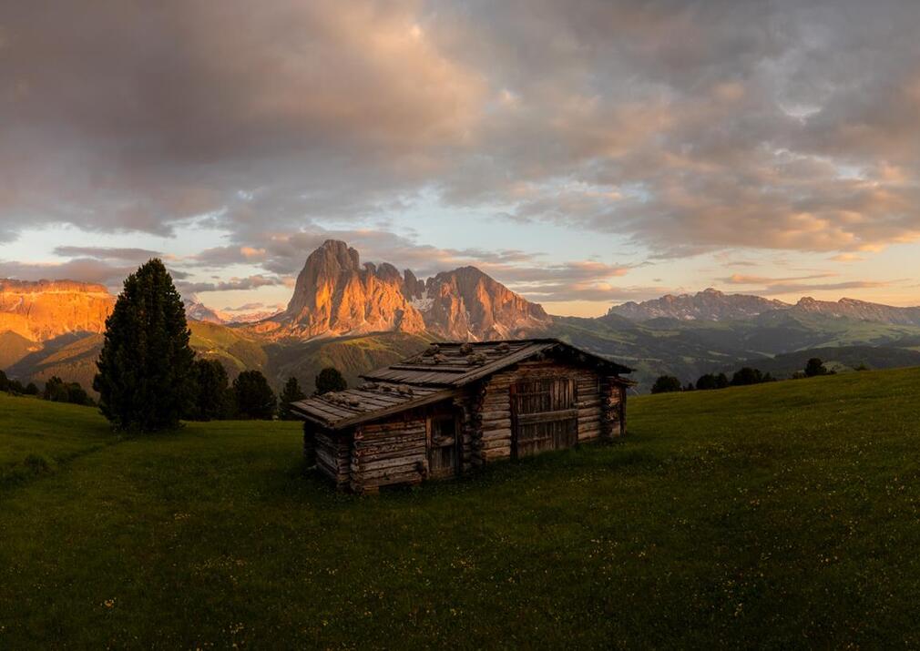 web-socials-dalpiaz-floralpina-2