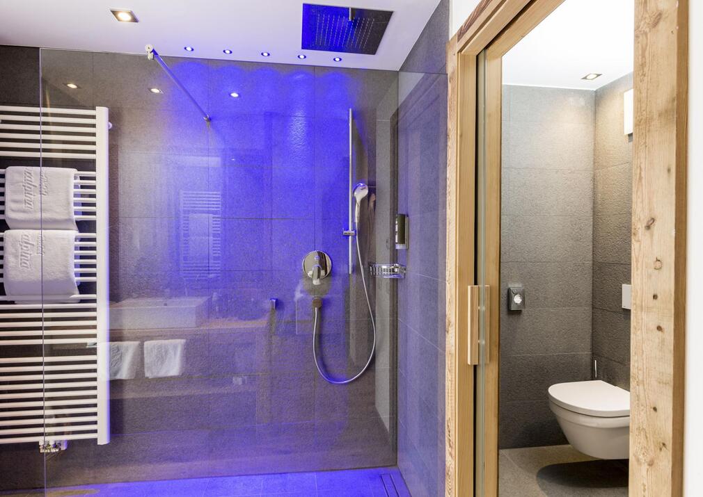 The bathroom of the double room Alpe 109 with a shower and separate toilet