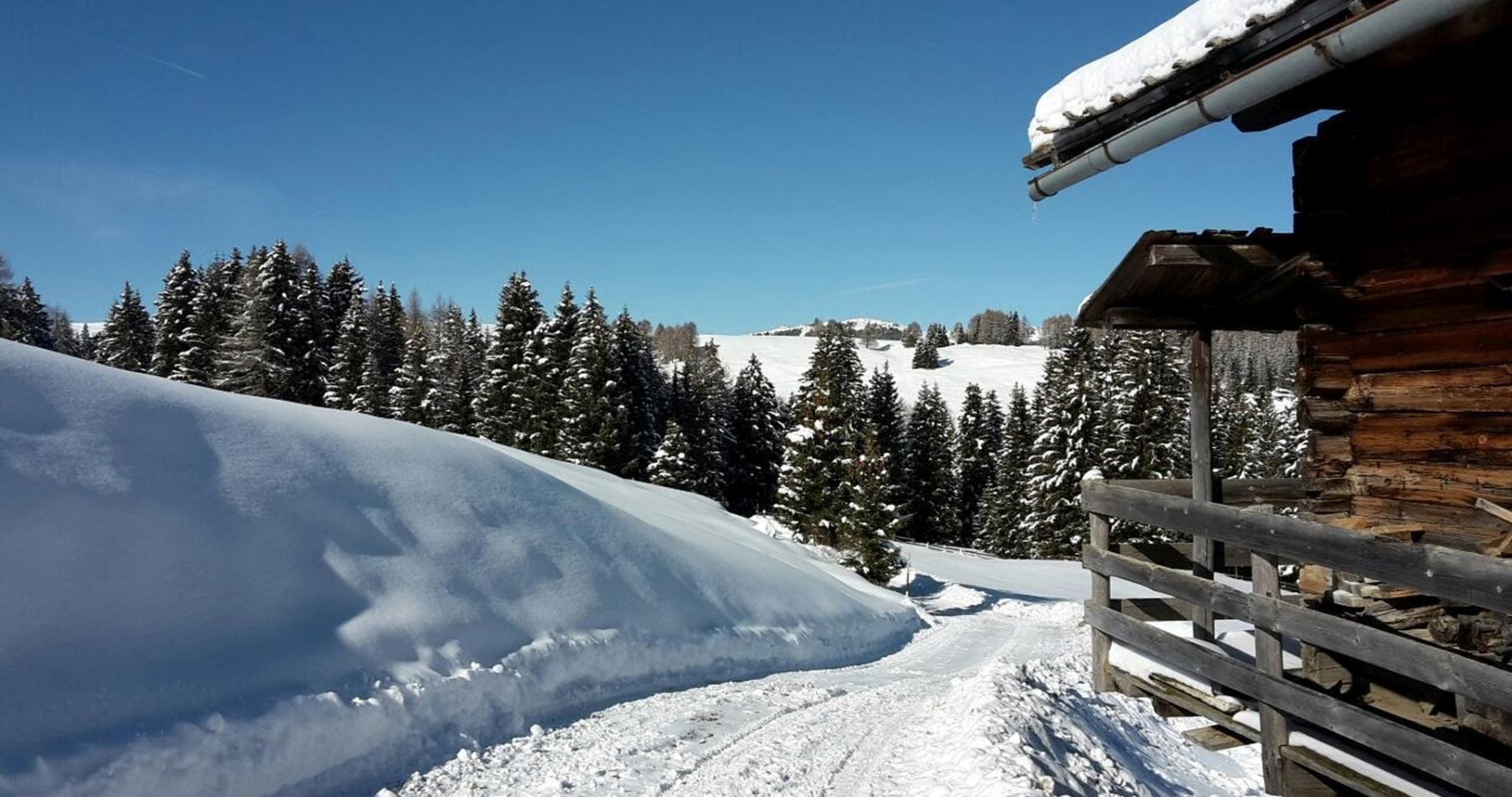 A mountain hut in winter