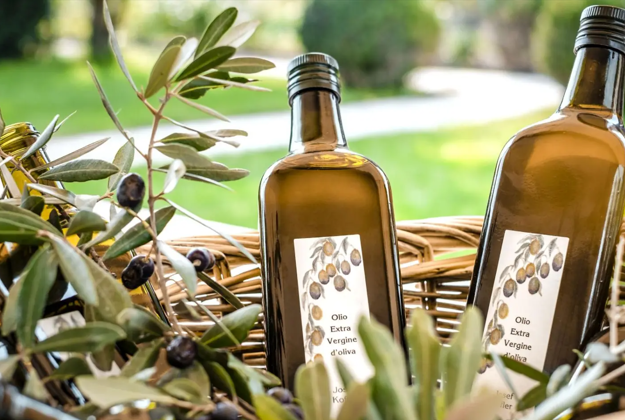 Our olive oil from Lake Garda
