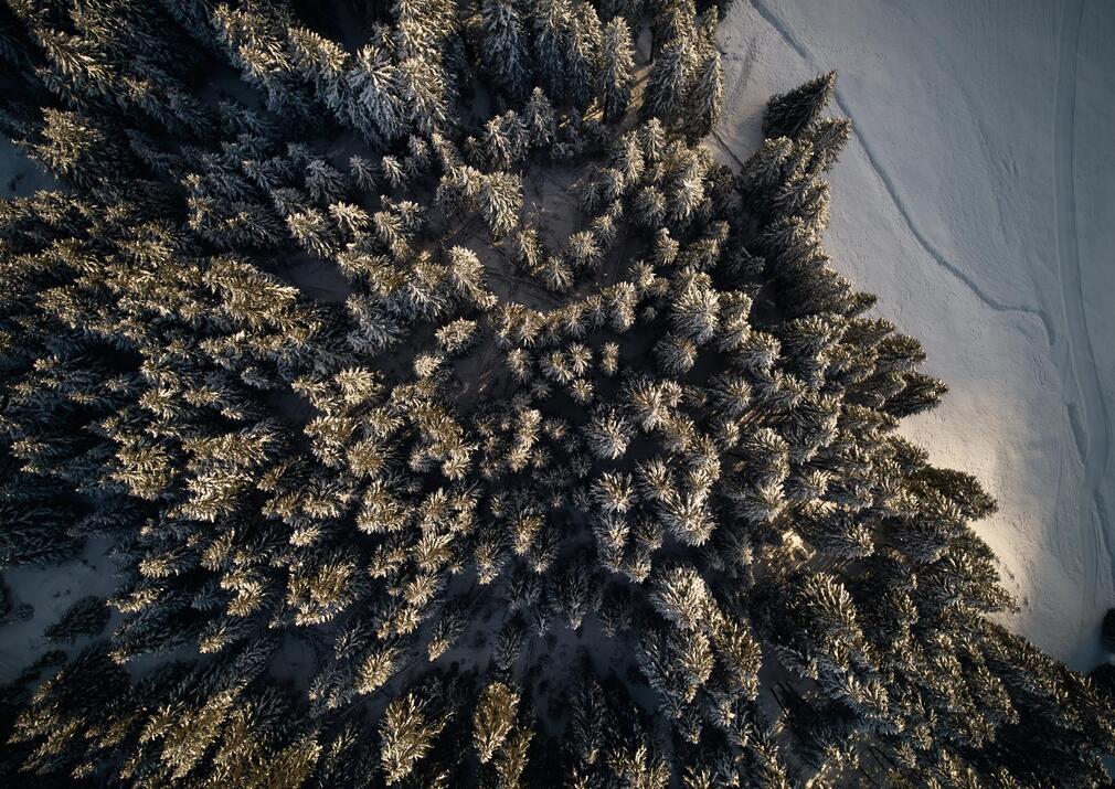 aerial-winter-forest-seiser-alm-alpe-di-siusi-dolomites