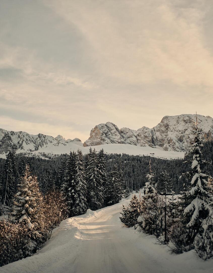 winter-forest-path-seiser-alm-alpe-di-siusi-dolomites
